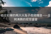 抓住貂蝉的两只大兔子视频播放——全网沸腾的视觉盛宴