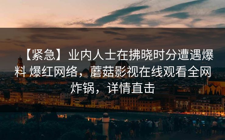 【紧急】业内人士在拂晓时分遭遇爆料 爆红网络，蘑菇影视在线观看全网炸锅，详情直击