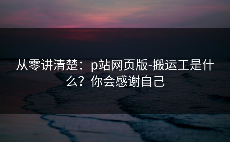 从零讲清楚:p站网页版-搬运工是什么?你会感谢自己 从零讲清楚:p站网页版-搬运工是什么?你会感谢自己