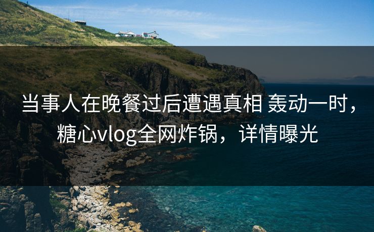 当事人在晚餐过后遭遇真相 轰动一时,糖心vlog全网炸锅,详情曝光 当事人在晚餐过后遭遇真相 轰动一时,糖心vlog全网炸锅,详情曝光
